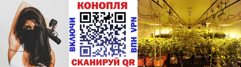 blacksprut tor  Бологое  Шишки марихуана SATIVA & INDICA  что такое  